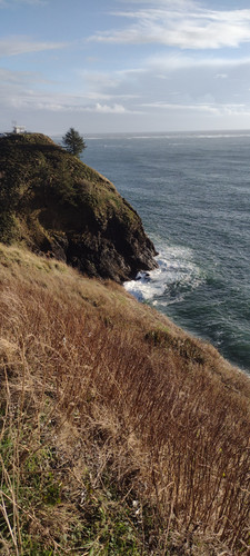 IMG 20241027 163000963.jpg