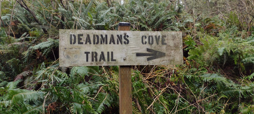 IMG 20241027 155337908.jpg