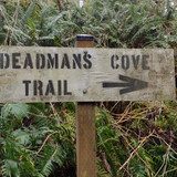 IMG 20241027 155337908