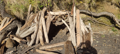 IMG 20241027 161028393 HDR.jpg