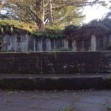 IMG 20241027 165919410