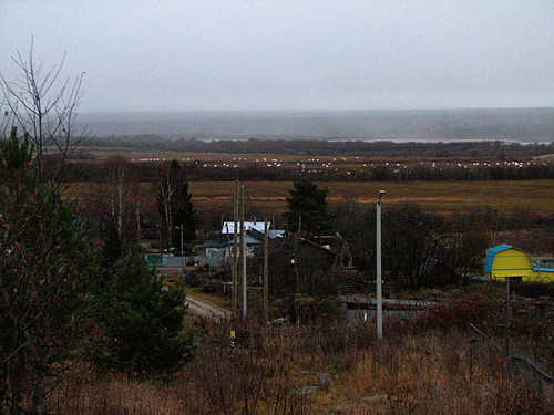 IMG 0019 1.jpg
