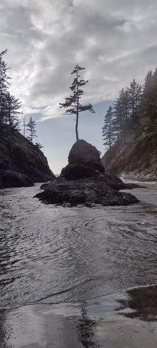 IMG 20241027 155753562 HDR.jpg