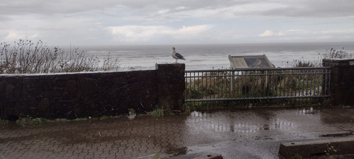 IMG 20241027 135241912 HDR.jpg