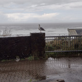 IMG 20241027 135241912 HDR