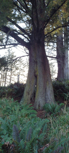 IMG 20241027 170351768.jpg