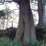 IMG 20241027 170351768