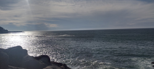 IMG 20241025 145533717 HDR.jpg