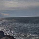 IMG 20241025 145533717 HDR