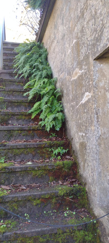 IMG 20241027 165840006.jpg