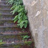 IMG 20241027 165840006