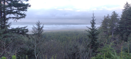 IMG 20241027 172102462.jpg