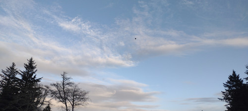 IMG 20241027 172041205.jpg
