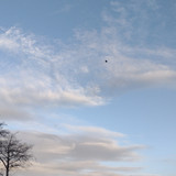 IMG 20241027 172041205