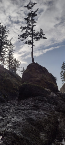 IMG 20241027 160323686 HDR.jpg