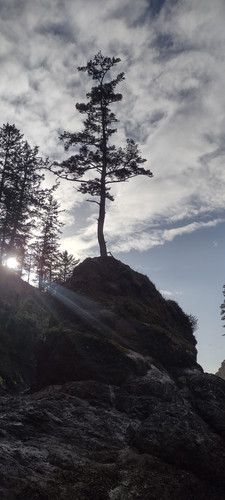 IMG 20241027 160316252 HDR.jpg