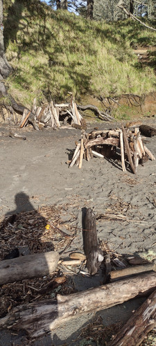 IMG 20241027 160948380 HDR.jpg