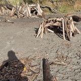 IMG 20241027 160948380 HDR