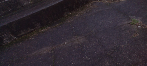 IMG 20241027 165306949.jpg