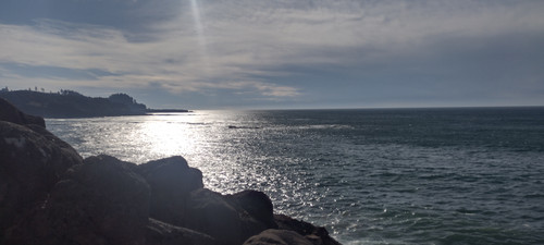 IMG 20241025 145531260 HDR.jpg
