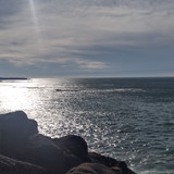 IMG 20241025 145531260 HDR