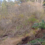 IMG 20241025 152208572