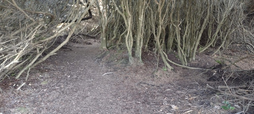 IMG 20241025 151010642.jpg