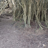 IMG 20241025 151010642