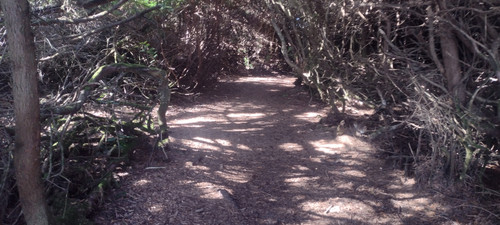 IMG 20241025 144654322.jpg