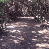 IMG 20241025 144654322