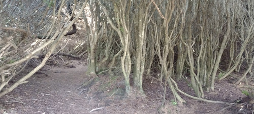 IMG 20241025 151005439.jpg