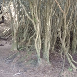 IMG 20241025 151005439