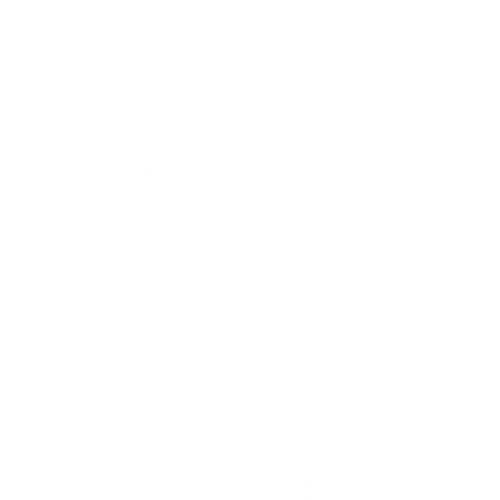 the lord of the rings arwen white tree of gondor the hobbit the hobbit 0145fadefee3cd52e68c8253742a0.png