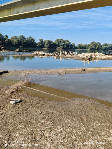 IMG 20240825 094054.jpg