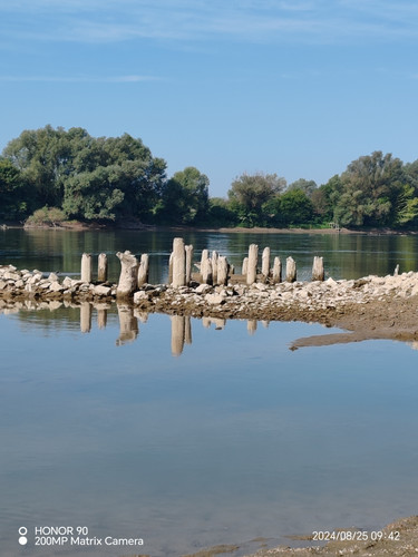 IMG 20240825 094205.jpg