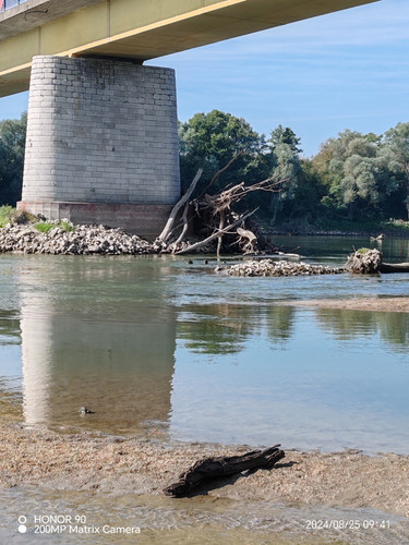 IMG 20240825 094105.jpg