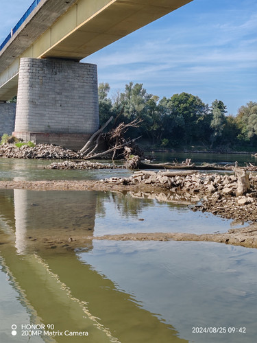 IMG 20240825 094233.jpg