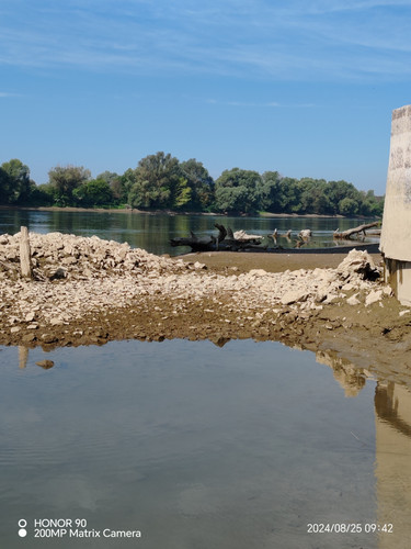 IMG 20240825 094239.jpg