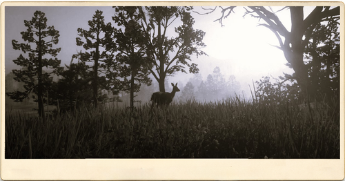 Photography Emmerich landschaft reh.png