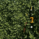 GIF 10 28 2024 9 40 00 PM.gif