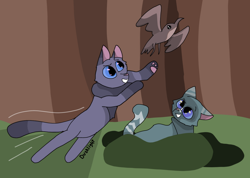 FC797918 9817 4F5A 822D 418FD4C1951C.png