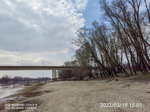 IMG 20220319 150156 edit 24916838101639.jpg