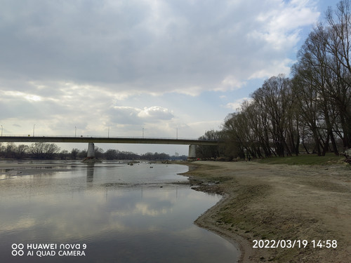 IMG 20220319 145856 edit 24971978147764.jpg