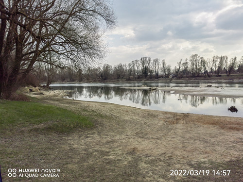 IMG 20220319 145705 edit 25256331896250.jpg