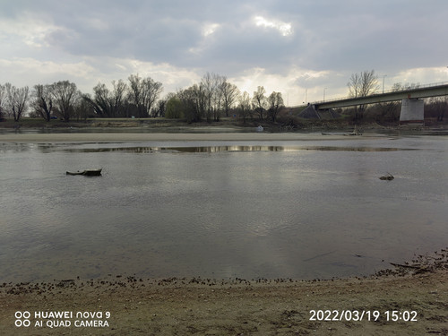 IMG 20220319 150215 edit 24851638201873.jpg