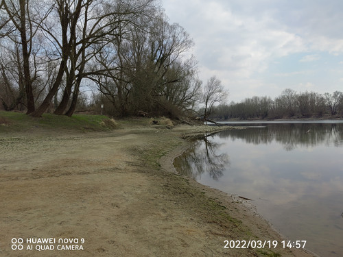 IMG 20220319 145759 edit 25080856346369.jpg