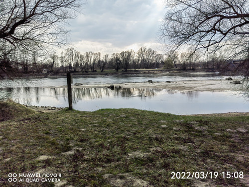 IMG 20220319 150812 edit 24719221230986.jpg