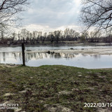 IMG 20220319 150812 edit 24719221230986