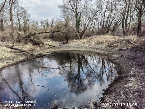 IMG 20220319 150845 edit 24651507342470.jpg