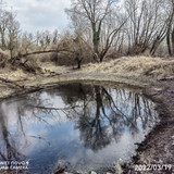 IMG 20220319 150845 edit 24651507342470